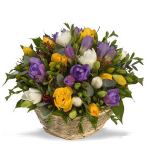 Basket Of Freesia