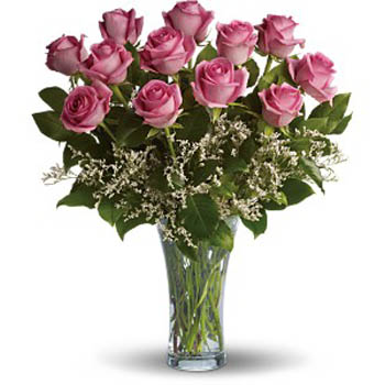 Dosen Pink Roses Bouquet