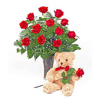 One Dozen Red Roses in a vase with Bear