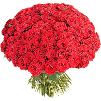 One Hundred Red Roses