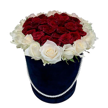 Roses in a Round Box