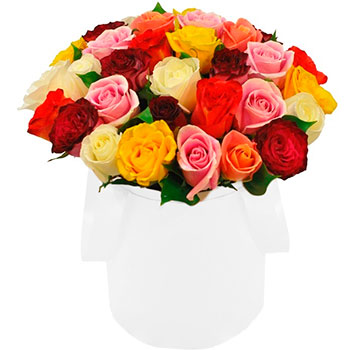 Mixed Roses in a Round White Box