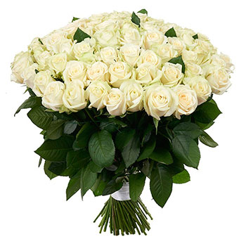White Roses Bouquet 