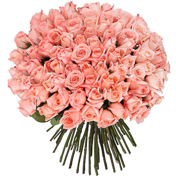 Pink Roses Bouquet