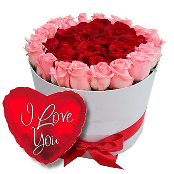 24 Red & Pink Roses Box with Balloon