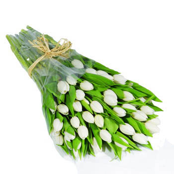 Two Dozen White Tulips in a Bouquet