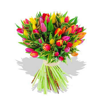 Two Dozen Assorted Tulips in a Bouquet