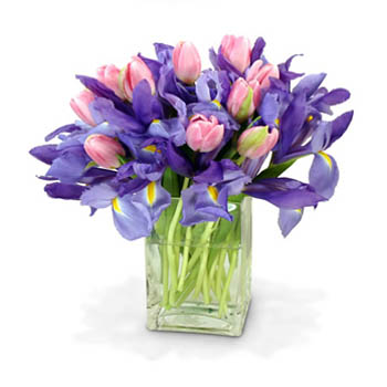 Bouquet Pink Tulips & Blue Iris