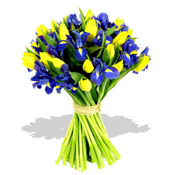Yellow Tulips - Blue Iris Bouquet