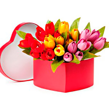 Heart shape gift box of tulip flowers