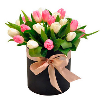 Arrangement Tulips in a Round Box