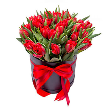 Red Tulips in a Round Black Box