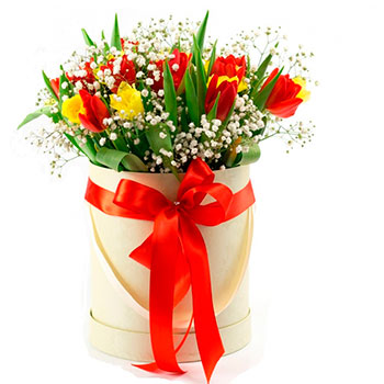 Mixed Tulips in a Round White Box