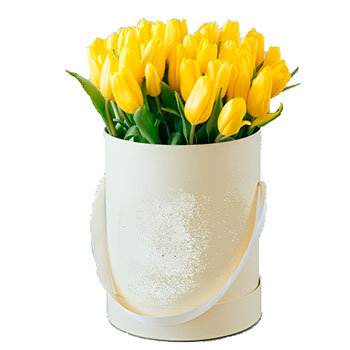 Yellow Tulips in a Round Box