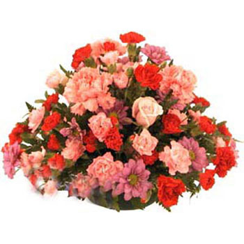 Carnations & Rose Basket