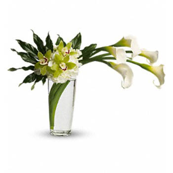 Calla & Orchid arrangement