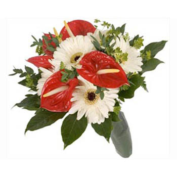 Bouquet Of Gerberas & Anthurium