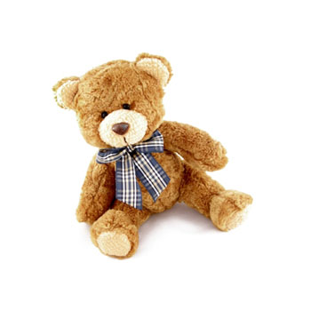 Medium Teddy Bear Toy