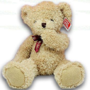 Big Teddy Bear Toy