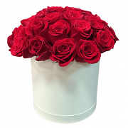Red Roses in a Round White Box