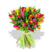 Two Dozen Assorted Tulips in a Bouquet