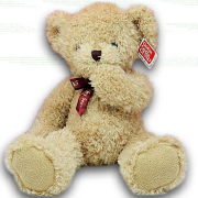 Big Teddy Bear Toy