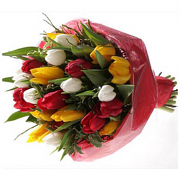 Seasonal Bouquet Of Tulips