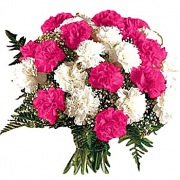 Bouquet Of Carnations