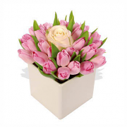 Fresh Pink Tulips & White Rose