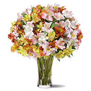 Alstroemeria Bouquet